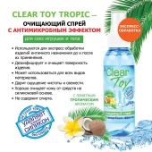 Очищающий спрей для игрушек CLEAR TOY Tropic - 100 мл. - Биоритм - купить с доставкой в Астрахани