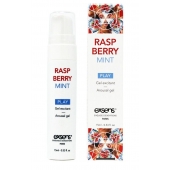 Возбуждающий гель Raspberry Mint с ароматом малины и мяты - 15 мл. - Exsens - купить с доставкой в Астрахани