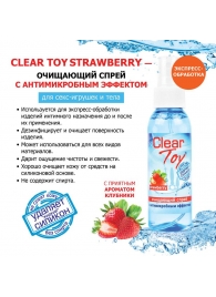 Очищающий спрей для игрушек CLEAR TOY Strawberry - 100 мл. - Биоритм - купить с доставкой в Астрахани