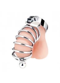 Серебристая клетка для члена Urethral Play Cage - BlueLine - купить с доставкой в Астрахани