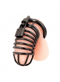 Черная металлическая клетка с замком Deluxe Chastity Cage - BlueLine - купить с доставкой в Астрахани