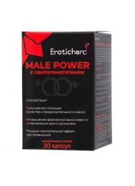 Капсулы для мужчин Erotichard male power с пантогематогеном - 20 капсул (0,370 гр.) - Erotic Hard - купить с доставкой в Астрахани