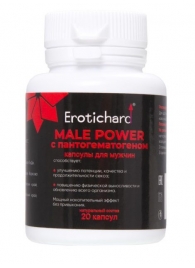 Капсулы для мужчин Erotichard male power с пантогематогеном - 20 капсул (0,370 гр.) - Erotic Hard - купить с доставкой в Астрахани