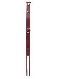 Бордовый ремень Halo Waist Belt - размер L-XL - Shots Media BV - купить с доставкой в Астрахани
