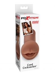 Мастурбатор-ротик Coed Cocksucker - Pipedream - в Астрахани купить с доставкой