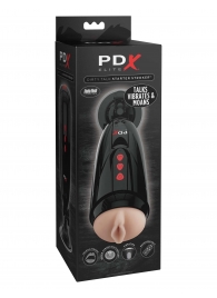 Мастурбатор-вагина с вибрацией Dirty Talk Starter Stroker - Pipedream - в Астрахани купить с доставкой