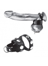 Утяжка для мошонки и пениса Cock Ring With 1  Ball Stretcher And Optional Weight Ring - BlueLine - купить с доставкой в Астрахани
