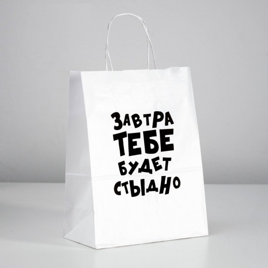 Подарочный пакет  Завтра тебе будет стыдно  - 30 х 24 см. - UPAK LAND - купить с доставкой в Астрахани