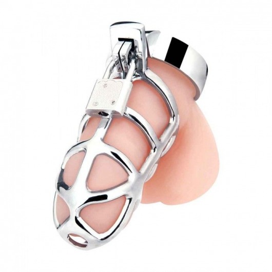 Серебристая металлическая клетка для члена с замком Enslave Cock Cage - BlueLine - купить с доставкой в Астрахани