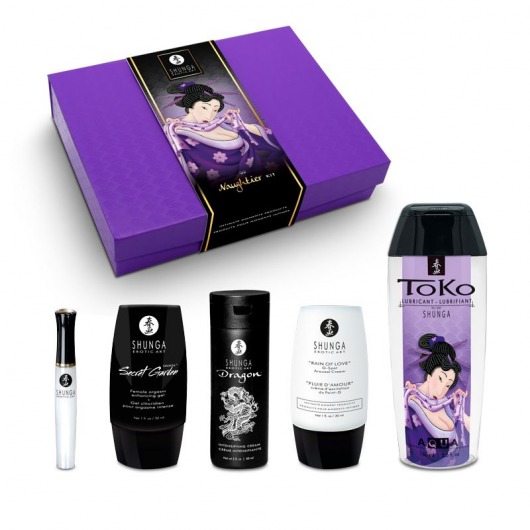 Подарочный набор Naughter Kit - Shunga - купить с доставкой в Астрахани