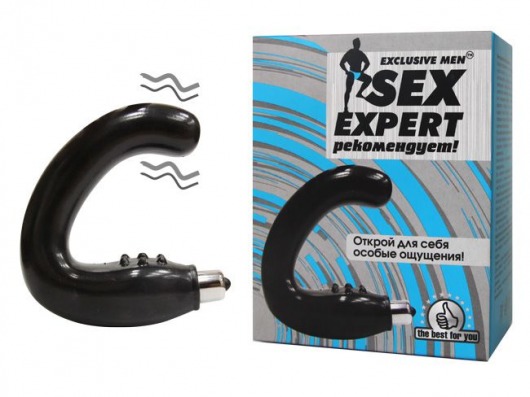 Чёрный массажёр простаты серии Sex Expert - Sex Expert - в Астрахани купить с доставкой