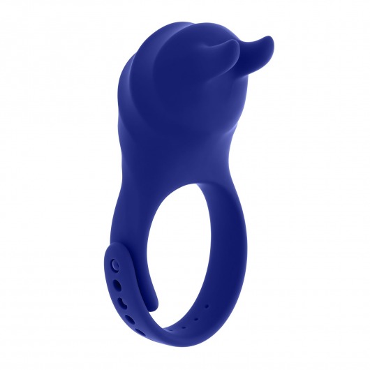 Синее эрекционное виброкольцо с клиторальной подушечкой и пультом ДУ Adjustable Fun Ring - Zero Tolerance - в Астрахани купить с доставкой